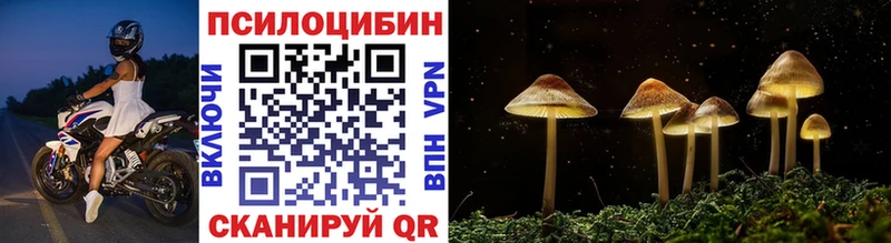 Псилоцибиновые грибы Psilocybe  Пойковский 