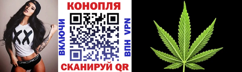 Марихуана ГИДРОПОН  гидра ТОР  Пойковский 